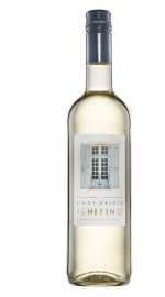 Penitino Pinot Grigio