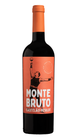 Monte Bruto